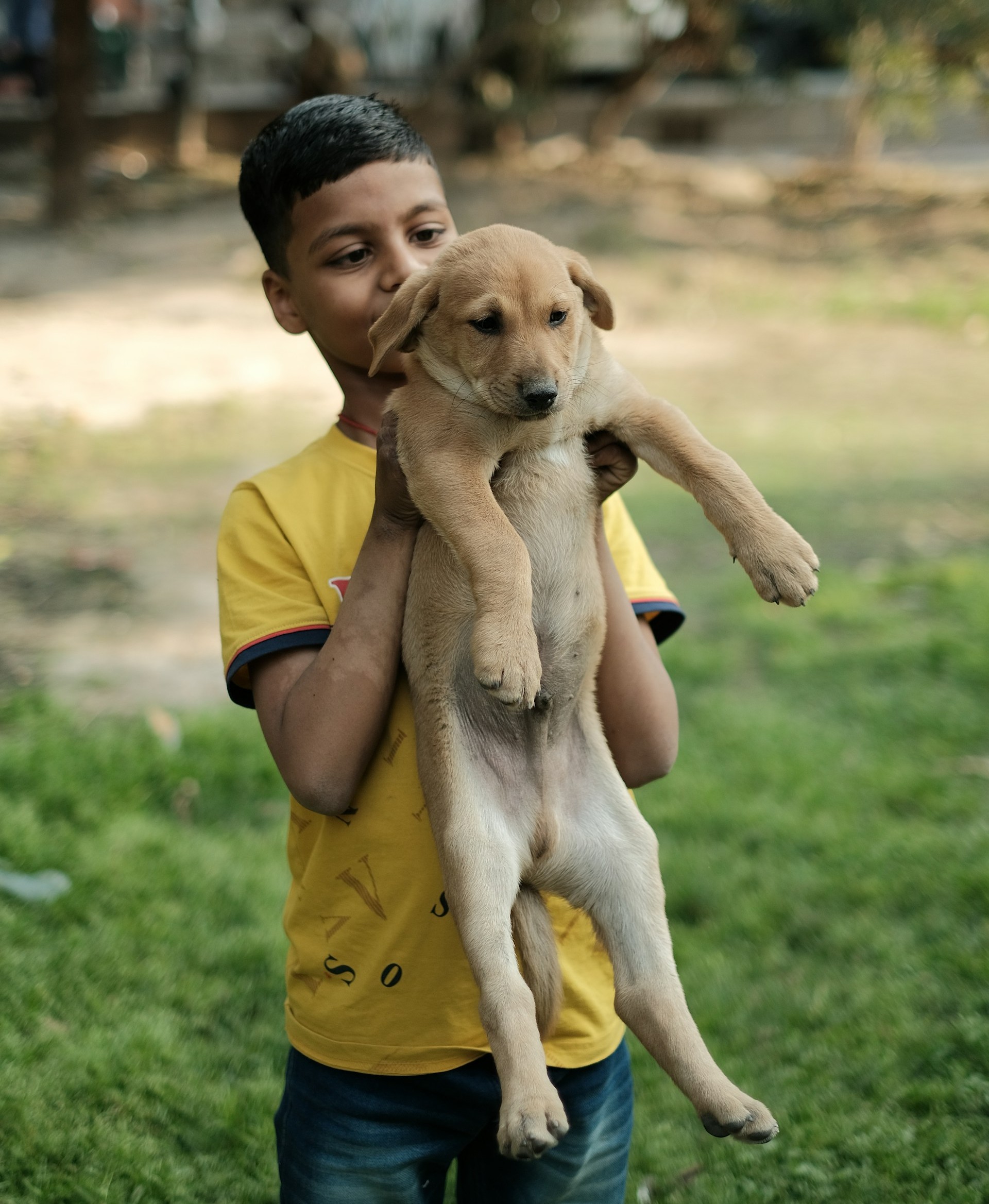 Love That Speaks Without Words